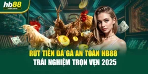 Rút Tiền Đá Gà An Toàn HB88 – Trải Nghiệm Trọn Vẹn 2025