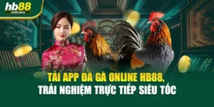 Tải App Đá Gà Online HB88, Trải Nghiệm Trực Tiếp Siêu Tốc