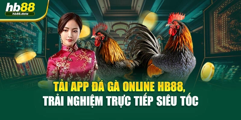 Tải App Đá Gà Online HB88, Trải Nghiệm Trực Tiếp Siêu Tốc