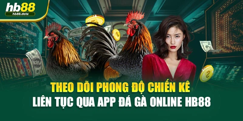 Theo dõi phong độ chiến kê liên tục qua app đá gà online HB88