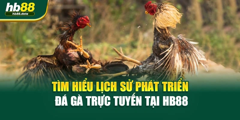 Tìm hiểu lịch sử phát triển đá gà trực tuyến tại HB88