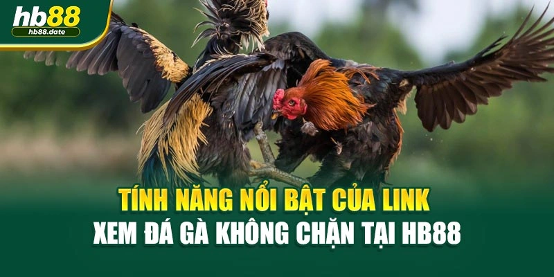 Tính năng nổi bật của link xem đá gà không chặn tại HB88