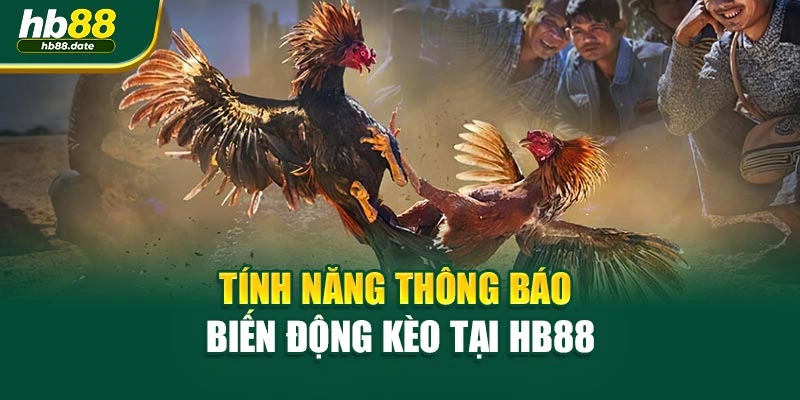 Tính năng thông báo biến động kèo tại HB88