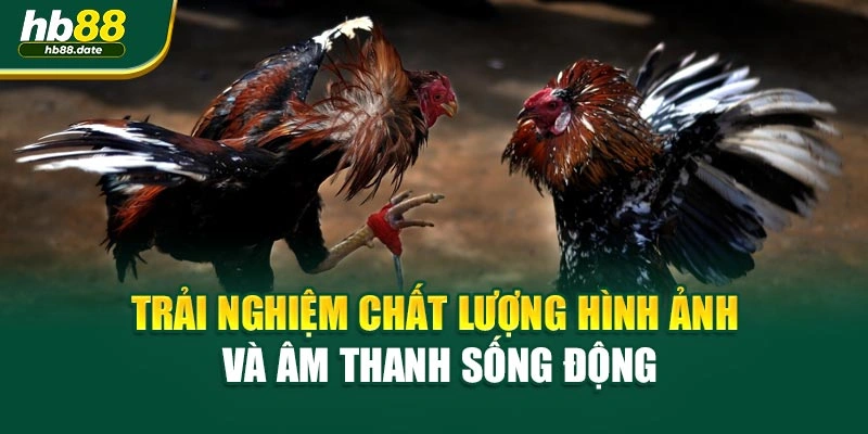 Trải nghiệm chất lượng hình ảnh và âm thanh sống động