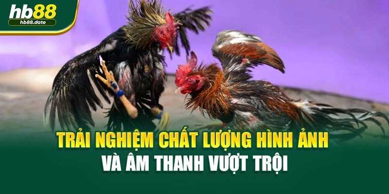 Trải nghiệm chất lượng hình ảnh và âm thanh vượt trội