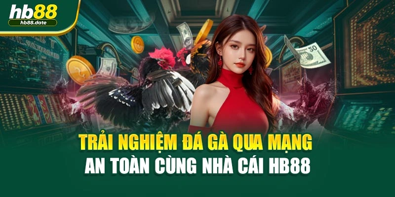 Trải Nghiệm Đá Gà Qua Mạng An Toàn Cùng Nhà Cái HB88