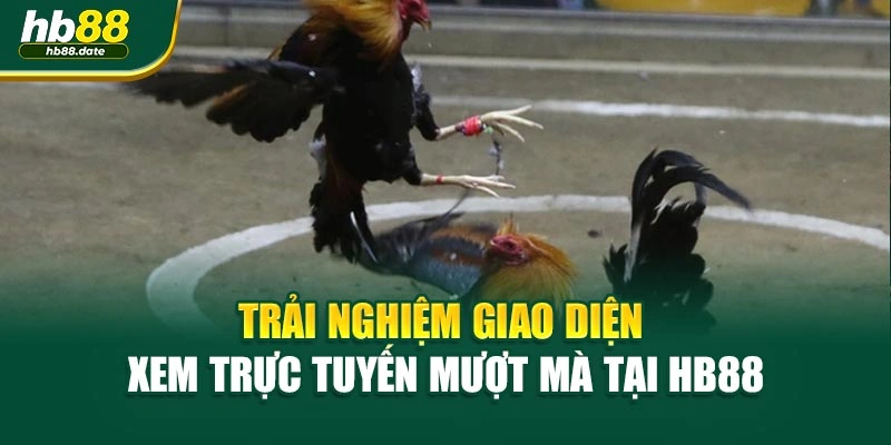 Trải nghiệm giao diện xem trực tuyến mượt mà tại HB88