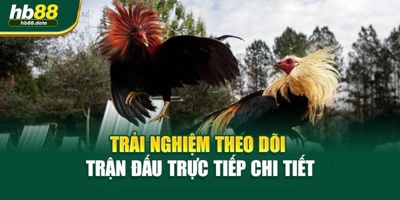 Trải nghiệm theo dõi trận đấu trực tiếp chi tiết