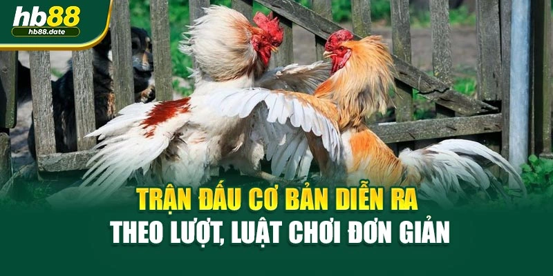 Trận đấu cơ bản diễn ra theo lượt, luật chơi đơn giản