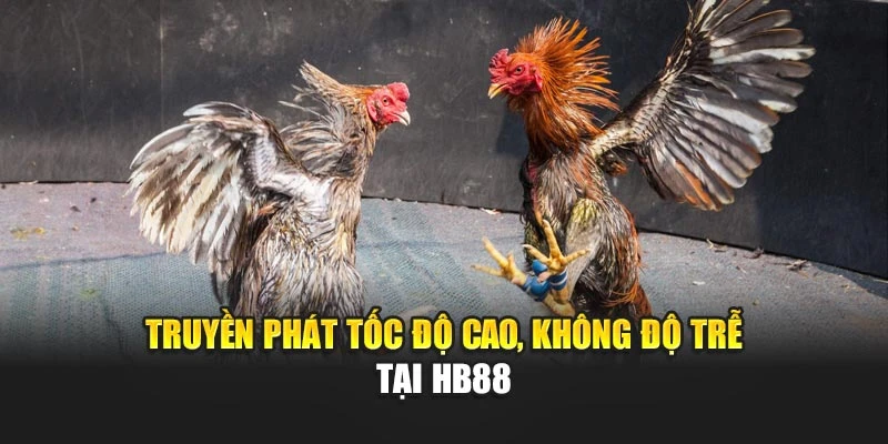 Truyền phát tốc độ cao, không độ trễ tại HB88