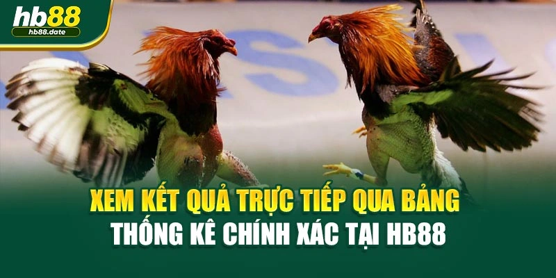 Xem kết quả trực tiếp qua bảng thống kê chính xác tại HB88